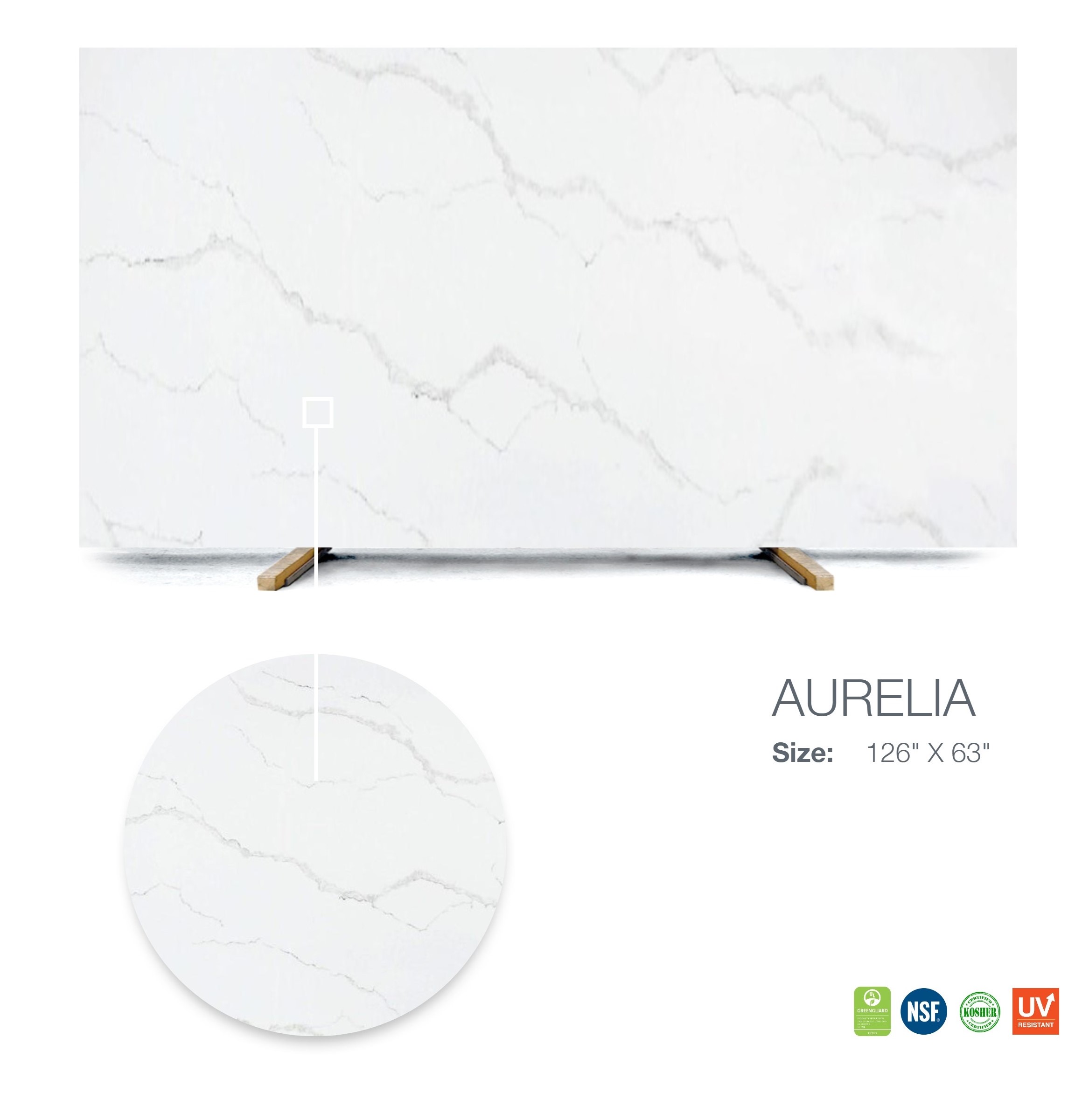 Aurelia